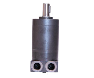 Hydraulic Motor