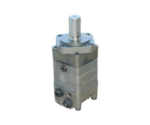 MHS Type Motor